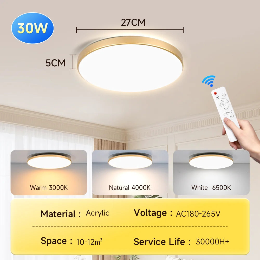 Dimmable Led Ceiling Lights
