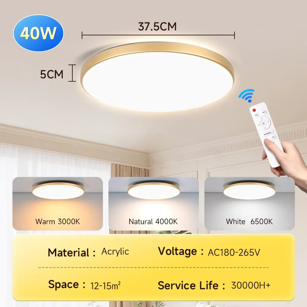 Dimmable Led Ceiling Lights